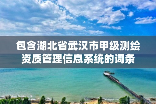 包含湖北省武漢市甲級測繪資質管理信息系統的詞條