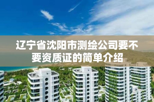 遼寧省沈陽市測繪公司要不要資質證的簡單介紹