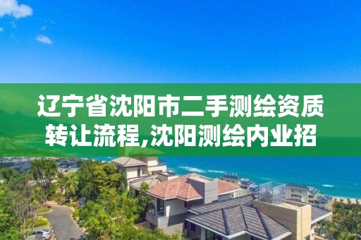 遼寧省沈陽市二手測繪資質轉讓流程,沈陽測繪內業招聘信息。