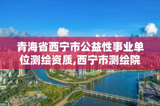 青海省西寧市公益性事業單位測繪資質,西寧市測繪院招聘公示。