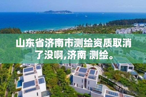 山東省濟南市測繪資質(zhì)取消了沒啊,濟南 測繪。