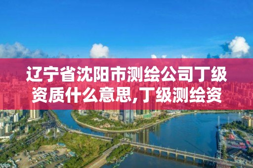 遼寧省沈陽市測繪公司丁級資質什么意思,丁級測繪資質業務范圍有哪些。