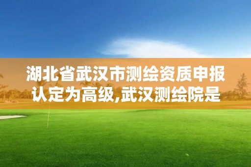 湖北省武漢市測繪資質申報認定為高級,武漢測繪院是什么級別。