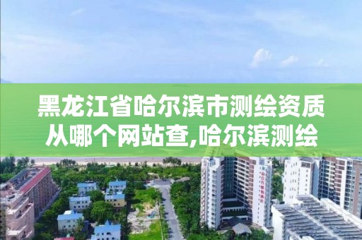 黑龍江省哈爾濱市測繪資質從哪個網站查,哈爾濱測繪局幼兒園是民辦還是公辦。