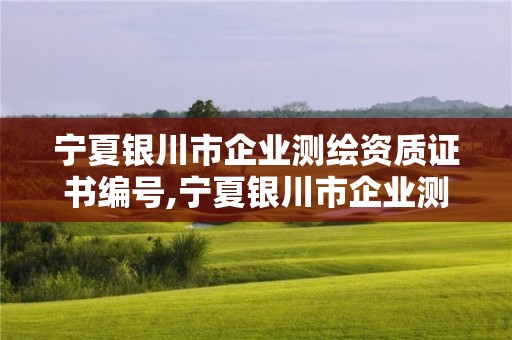 寧夏銀川市企業測繪資質證書編號,寧夏銀川市企業測繪資質證書編號是多少。