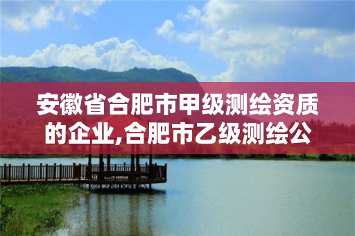 安徽省合肥市甲級測繪資質的企業,合肥市乙級測繪公司。