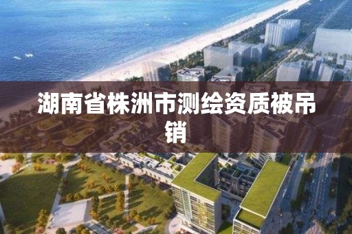 湖南省株洲市測繪資質被吊銷