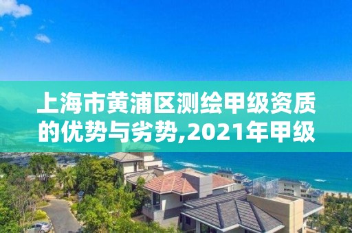 上海市黃浦區(qū)測繪甲級資質(zhì)的優(yōu)勢與劣勢,2021年甲級測繪資質(zhì)。