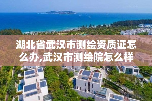 湖北省武漢市測繪資質證怎么辦,武漢市測繪院怎么樣。