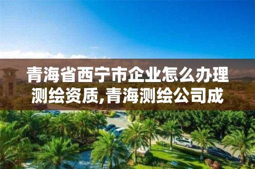 青海省西寧市企業怎么辦理測繪資質,青海測繪公司成員名單。