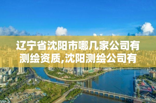 遼寧省沈陽市哪幾家公司有測繪資質,沈陽測繪公司有哪些。