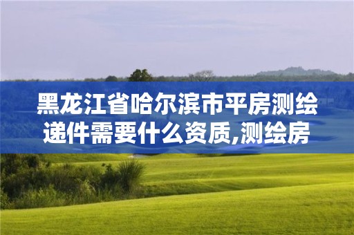 黑龍江省哈爾濱市平房測繪遞件需要什么資質,測繪房子多少錢。