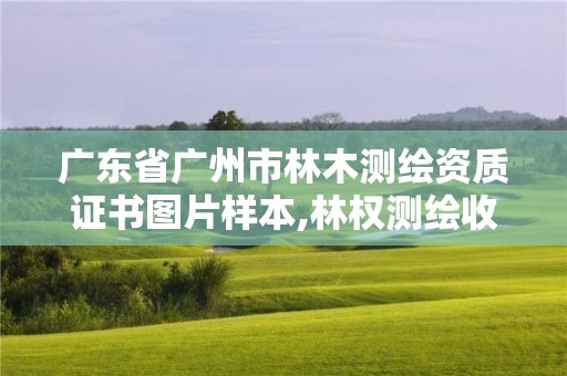 廣東省廣州市林木測繪資質證書圖片樣本,林權測繪收費標準。