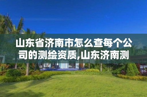 山東省濟南市怎么查每個公司的測繪資質,山東濟南測繪公司有哪些。