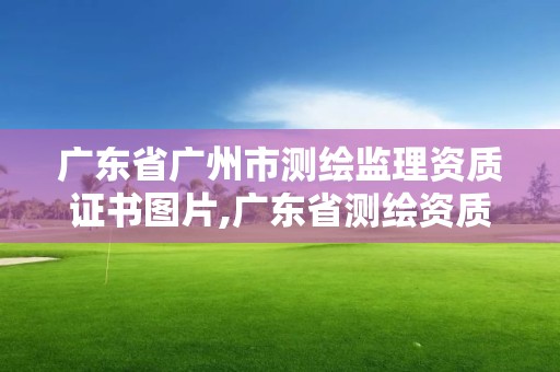 廣東省廣州市測繪監理資質證書圖片,廣東省測繪資質單位名單。