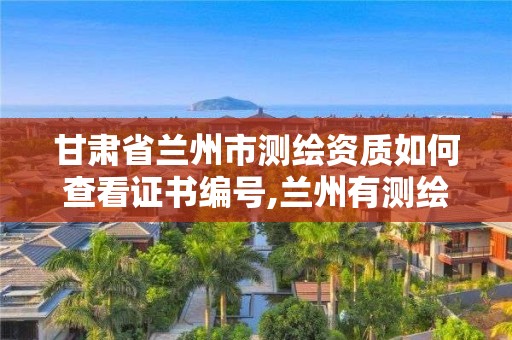 甘肅省蘭州市測繪資質如何查看證書編號,蘭州有測繪資質的公司有。