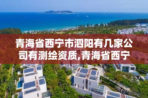 青海省西寧市泗陽有幾家公司有測繪資質(zhì),青海省西寧市泗陽有幾家公司有測繪資質(zhì)的公司。