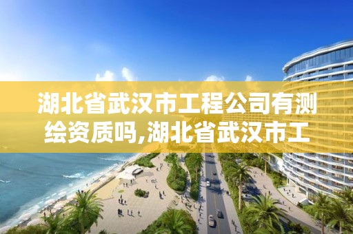 湖北省武漢市工程公司有測(cè)繪資質(zhì)嗎,湖北省武漢市工程公司有測(cè)繪資質(zhì)嗎有哪些。