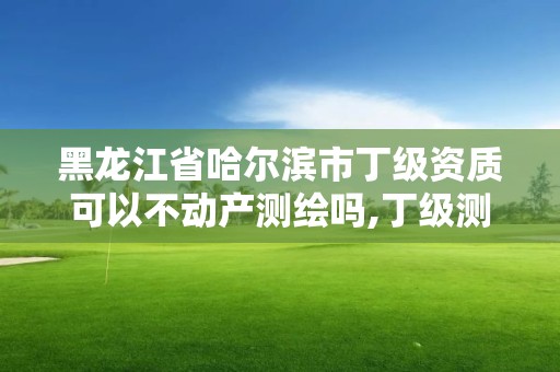 黑龍江省哈爾濱市丁級資質可以不動產測繪嗎,丁級測繪資質不動產測繪范圍。