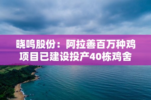 曉鳴股份：阿拉善百萬種雞項(xiàng)目已建設(shè)投產(chǎn)40棟雞舍