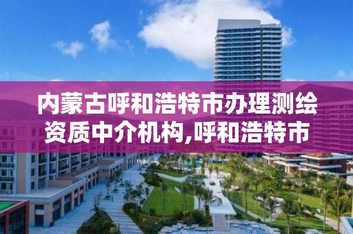 內蒙古呼和浩特市辦理測繪資質中介機構,呼和浩特市測繪公司。