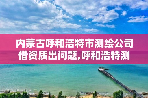 內蒙古呼和浩特市測繪公司借資質出問題,呼和浩特測繪儀器店。