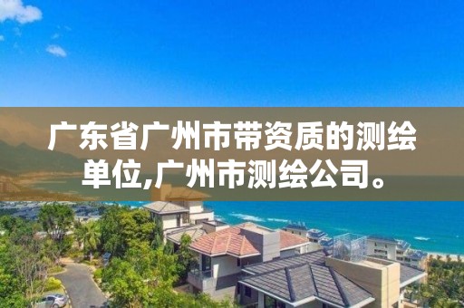 廣東省廣州市帶資質的測繪單位,廣州市測繪公司。