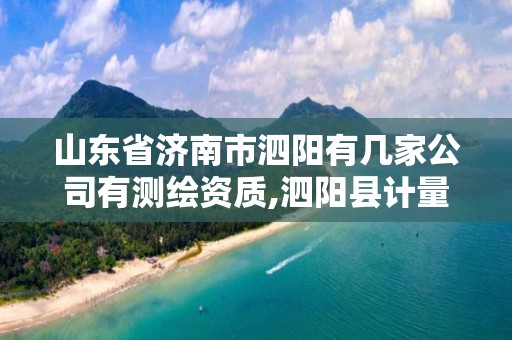 山東省濟南市泗陽有幾家公司有測繪資質,泗陽縣計量測試所電話。