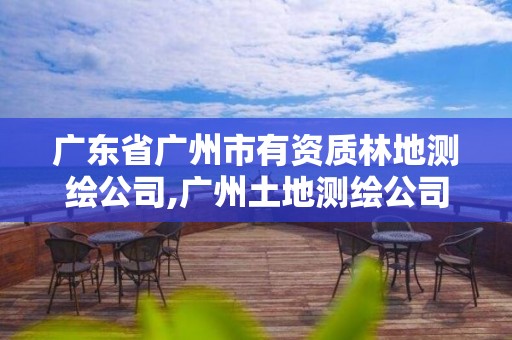 廣東省廣州市有資質林地測繪公司,廣州土地測繪公司。