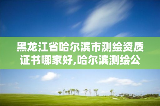 黑龍江省哈爾濱市測繪資質證書哪家好,哈爾濱測繪公司哪家好。