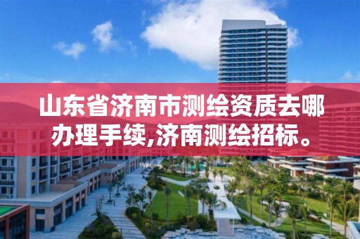 山東省濟南市測繪資質去哪辦理手續,濟南測繪招標。