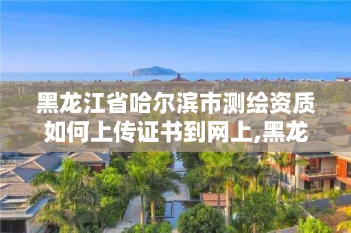 黑龍江省哈爾濱市測繪資質如何上傳證書到網上,黑龍江注冊測繪師。