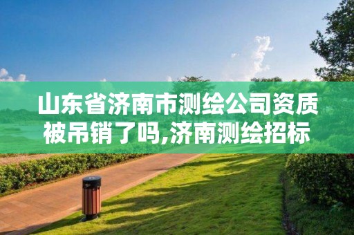 山東省濟南市測繪公司資質被吊銷了嗎,濟南測繪招標。