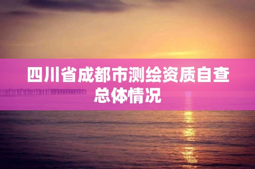 四川省成都市測繪資質自查總體情況