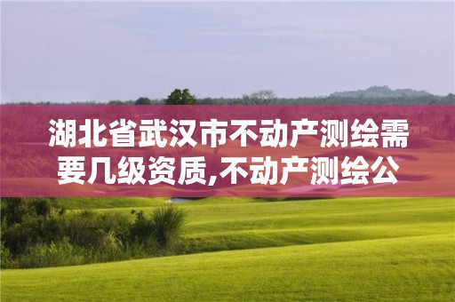 湖北省武漢市不動產(chǎn)測繪需要幾級資質(zhì),不動產(chǎn)測繪公司條件。