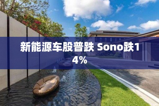 新能源車股普跌 Sono跌14%