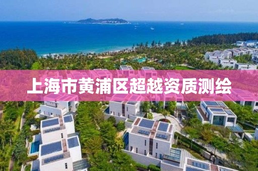 上海市黃浦區超越資質測繪