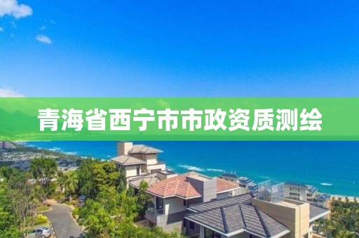 青海省西寧市市政資質測繪