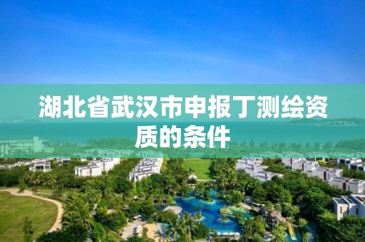 湖北省武漢市申報丁測繪資質的條件