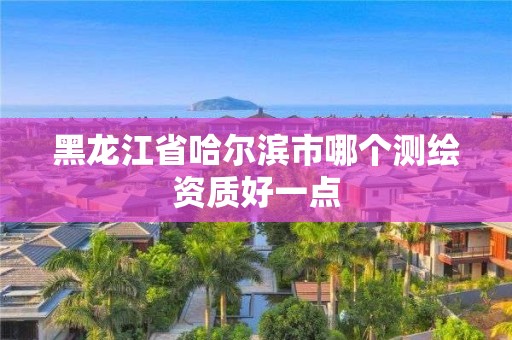 黑龍江省哈爾濱市哪個測繪資質好一點