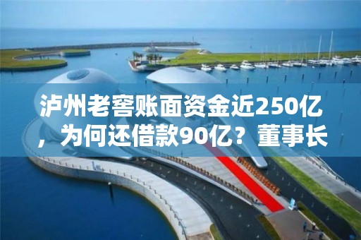 瀘州老窖賬面資金近250億，為何還借款90億？董事長：適度提升財務杠桿