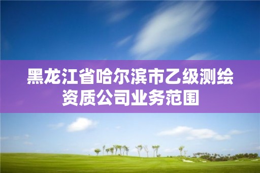 黑龍江省哈爾濱市乙級測繪資質公司業務范圍