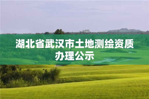 湖北省武漢市土地測繪資質辦理公示