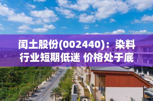 閏土股份(002440)：染料行業短期低迷 價格處于底部 積蓄能量靜待行業復蘇