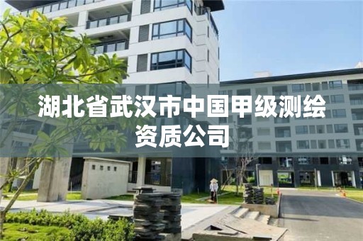 湖北省武漢市中國甲級測繪資質公司