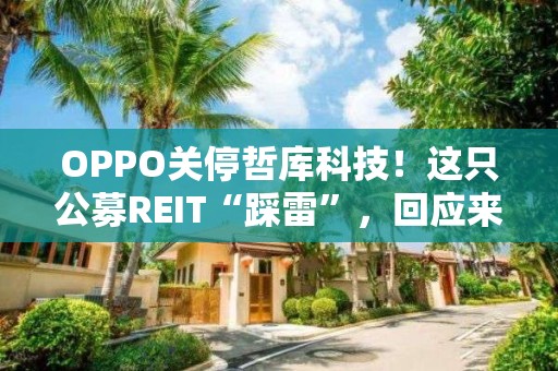 OPPO關停哲庫科技！這只公募REIT“踩雷”，回應來了