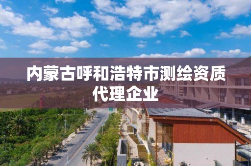 內蒙古呼和浩特市測繪資質代理企業