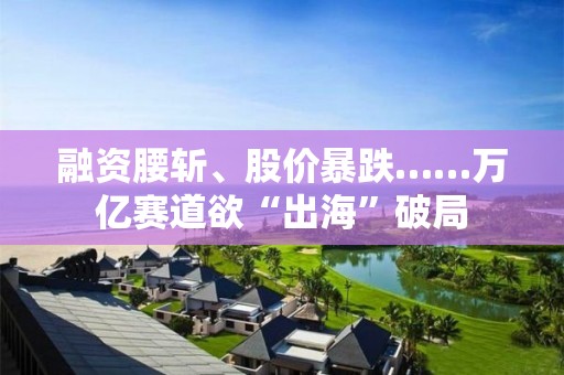 融資腰斬、股價暴跌……萬億賽道欲“出海”破局