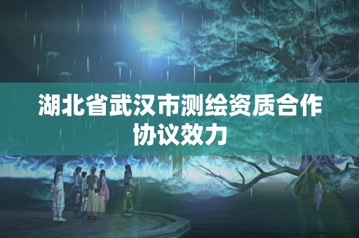 湖北省武漢市測繪資質合作協議效力