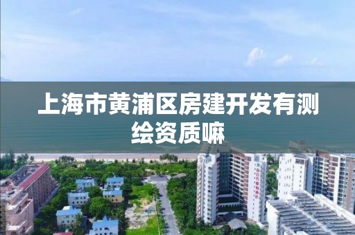 上海市黃浦區房建開發有測繪資質嘛